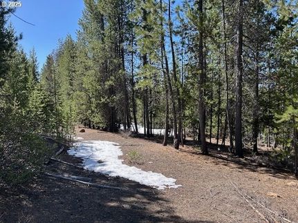 Undeveloped Land in Klamath County, Oregon