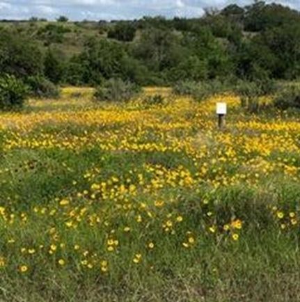 Undeveloped Land for sale in Blanco County, Texas
