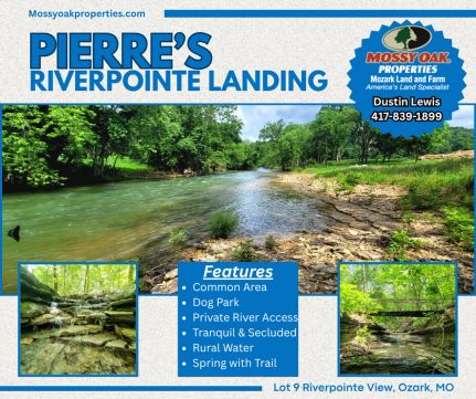Farm and Ranch for sale in Christian County, Missouri