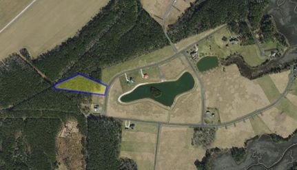 Undeveloped Land in Norfolk City County, Virginia