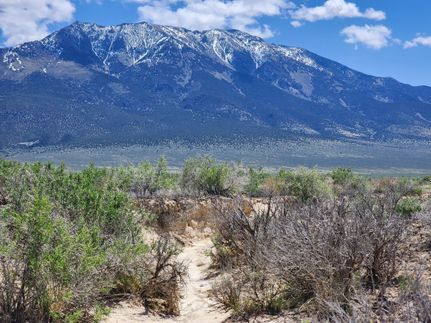Farm and Ranch for sale in Elko County, Nevada