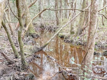 Timberland Property in Holmes County, Florida