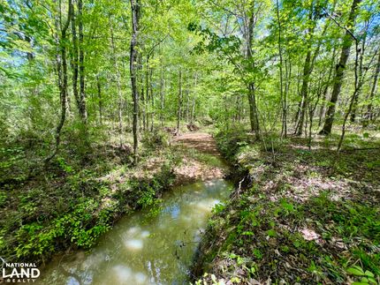 Recreational Property in Marengo County, Alabama