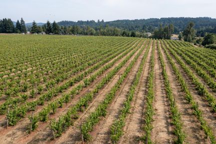 Farm and Ranch for sale in Polk County, Oregon