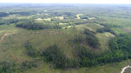 Undeveloped Land for sale in Clay County, Alabama