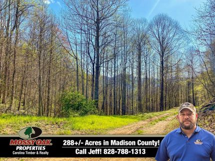 Farm and Ranch for sale in Madison County, North Carolina