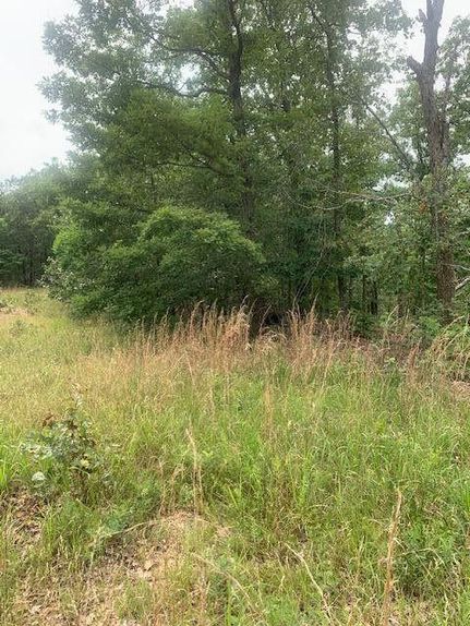 Undeveloped Land for sale in Douglas County, Missouri