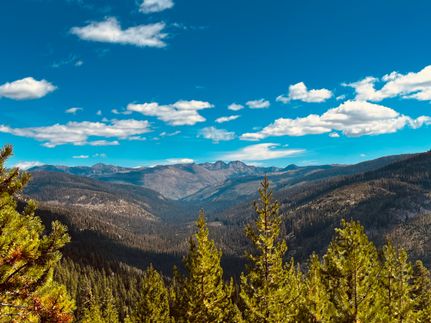 Homesite for sale in Idaho County, Idaho