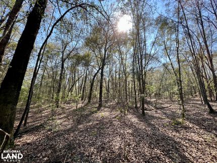 Undeveloped Land in Mobile County, Alabama