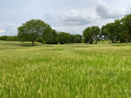 Farm and Ranch for sale in Knox County, Nebraska