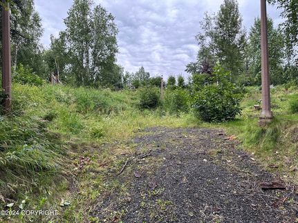 Undeveloped Land in Anchorage Borough, Alaska