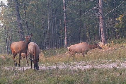 Recreational Property for sale in Crook County, Wyoming