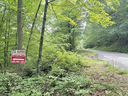 Undeveloped Land in Mingo County, West Virginia