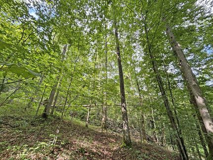 Land for sale in Mingo County, West Virginia