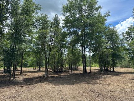 Undeveloped Land for sale in Mobile County, Alabama