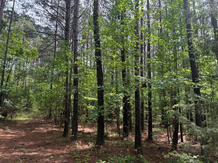Recreational Property for sale in Tallapoosa County, Alabama