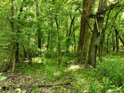 Land for sale in Clark County, Arkansas