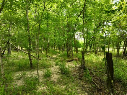 Land for sale in Clark County, Arkansas