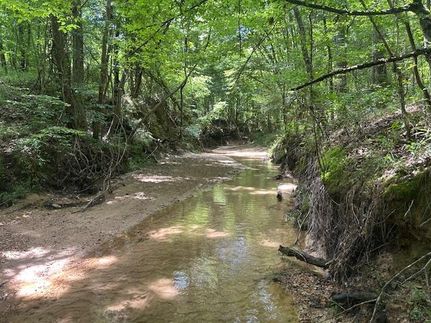 Timberland Property for sale in Franklin County, Mississippi