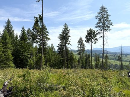 Land for sale in Ferry County, Washington