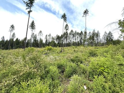 Undeveloped Land for sale in Ferry County, Washington