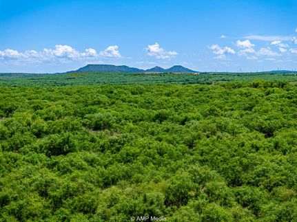 Timberland Property for sale in Stonewall County, Texas