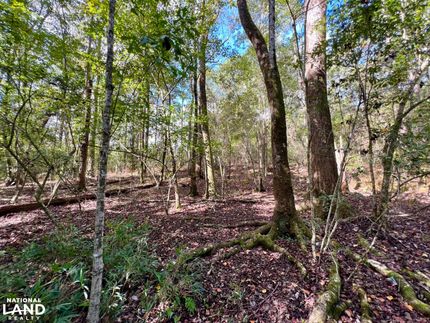 Recreational Property in Mobile County, Alabama