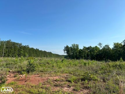 Timberland Property for sale in Twiggs County, Georgia