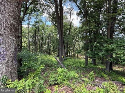 Farm and Ranch for sale in Hampshire County, West Virginia