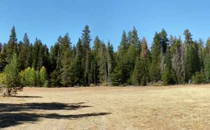 Timberland Property for sale in Klamath County, Oregon