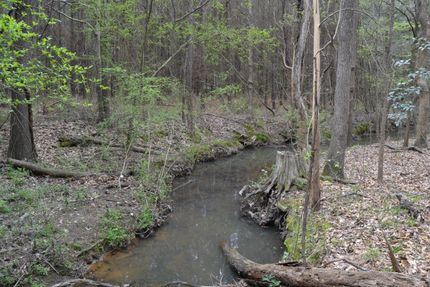 Land for sale in Richland County, South Carolina