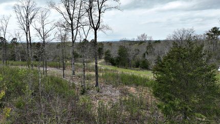 Farm and Ranch in Polk County, Arkansas