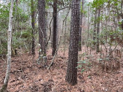 Farm and Ranch for sale in Tyler County, Texas