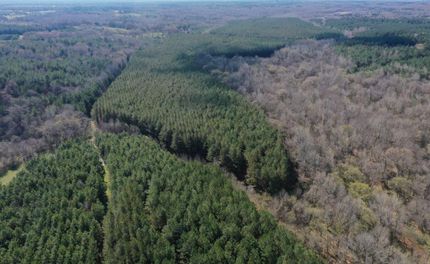 Land for sale in Marshall County, Mississippi