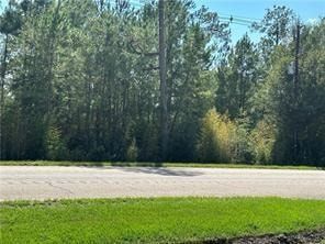 Undeveloped Land in Tangipahoa Parish, Louisiana