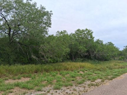 Farm and Ranch for sale in Live Oak County, Texas