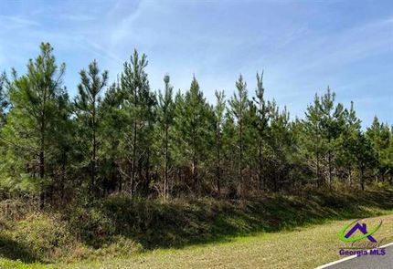 Land for sale in Dooly County, Georgia