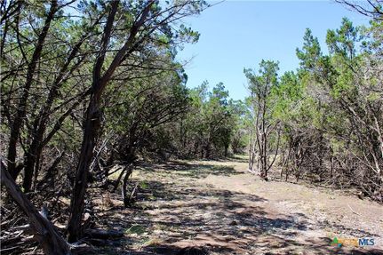 Land in Blanco County, Texas