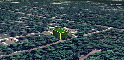 Undeveloped Land in Trinity County, Texas