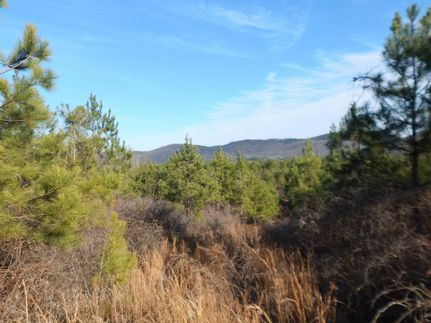 Farm and Ranch for sale in DeKalb County, Alabama