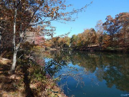 Undeveloped Land for sale in Cherokee County, Alabama