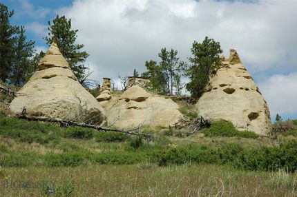 Farm and Ranch for sale in Treasure County, Montana