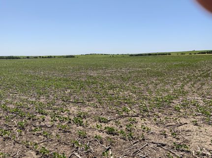 Farm and Ranch for sale in Lyman County, South Dakota