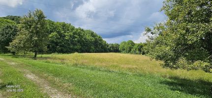 Undeveloped Land for sale in Scott County, Kentucky