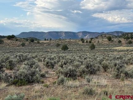 Land for sale in Archuleta County, Colorado