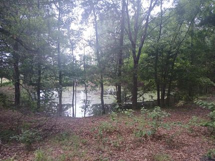 Recreational Property in Harrison County, Texas