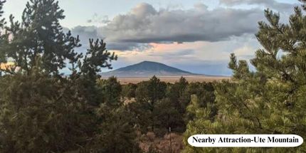 Undeveloped Land in Costilla County, Colorado