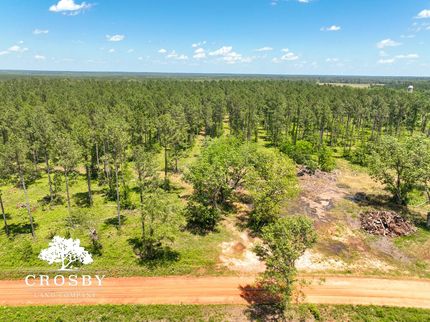 Farm and Ranch for sale in Burke County, Georgia