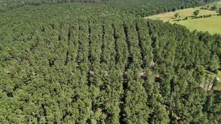 Farm and Ranch for sale in Winn Parish, Louisiana