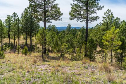 Recreational Property for sale in Custer County, South Dakota